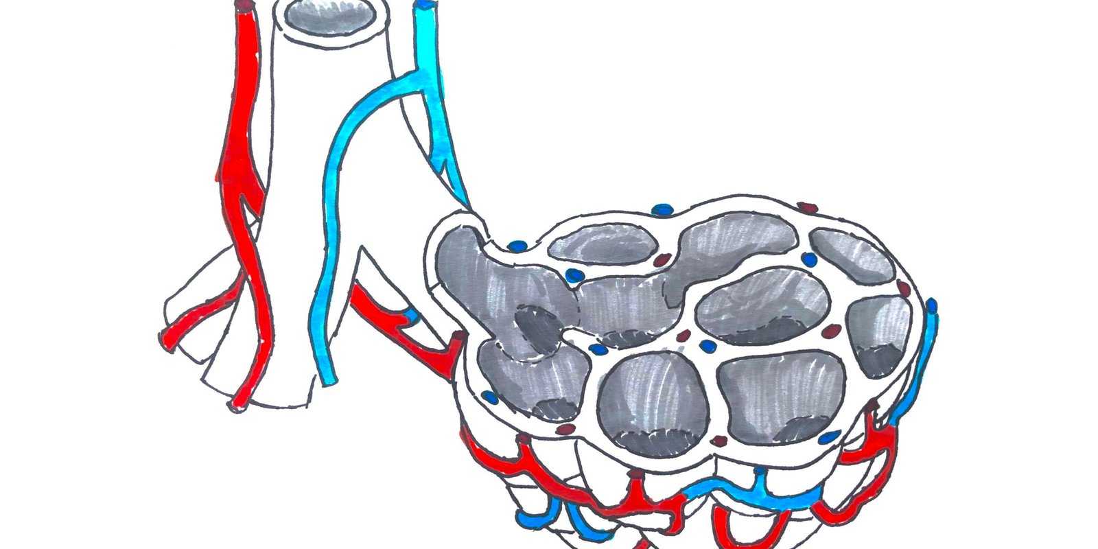 esercizi di respirazione