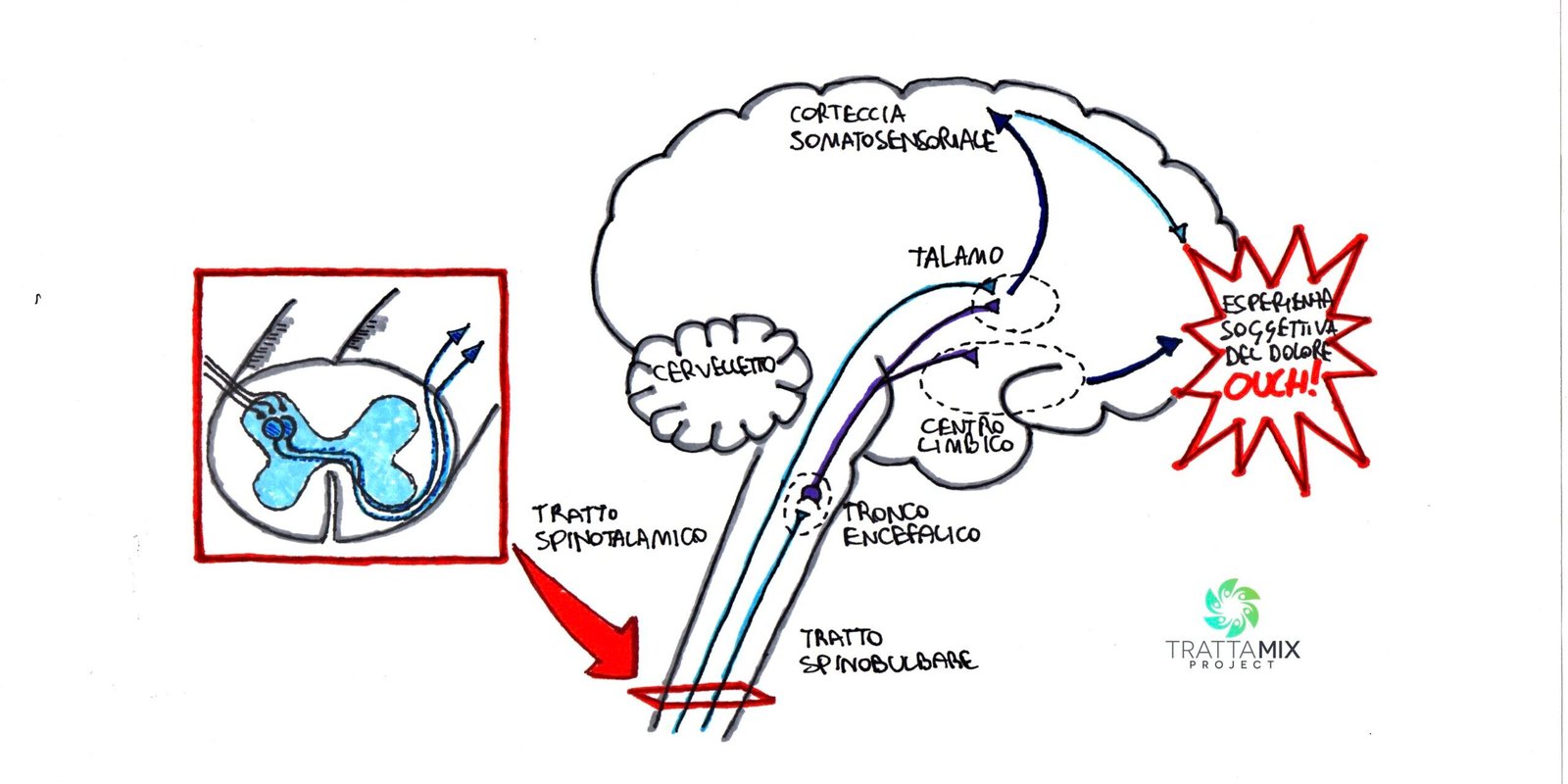 Fisioterapia sintomi neurologici