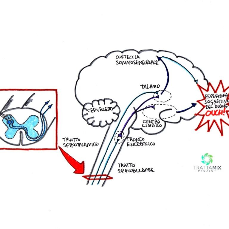 Fisioterapia sintomi neurologici