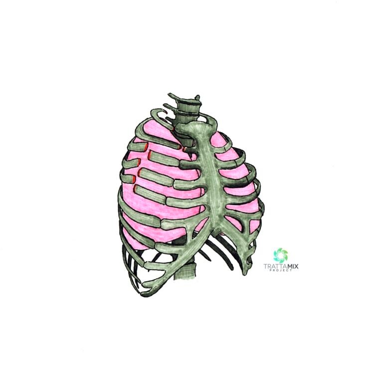 Costola rotta cosa fare