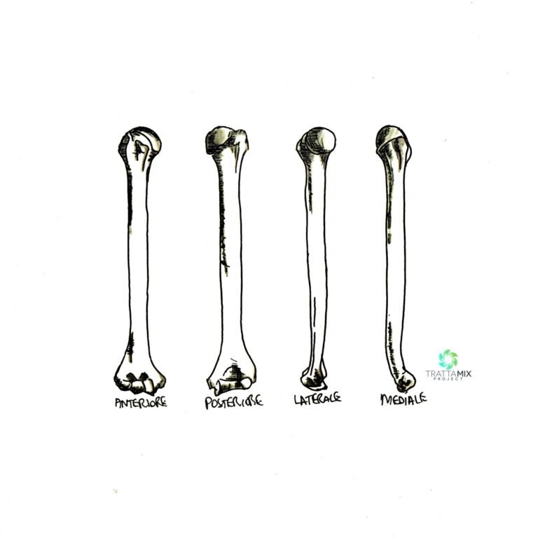 frattura omero tempi di recupero