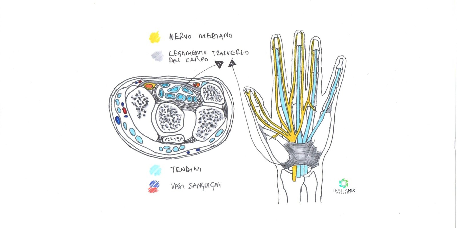 tunnel carpale sintomi spalla